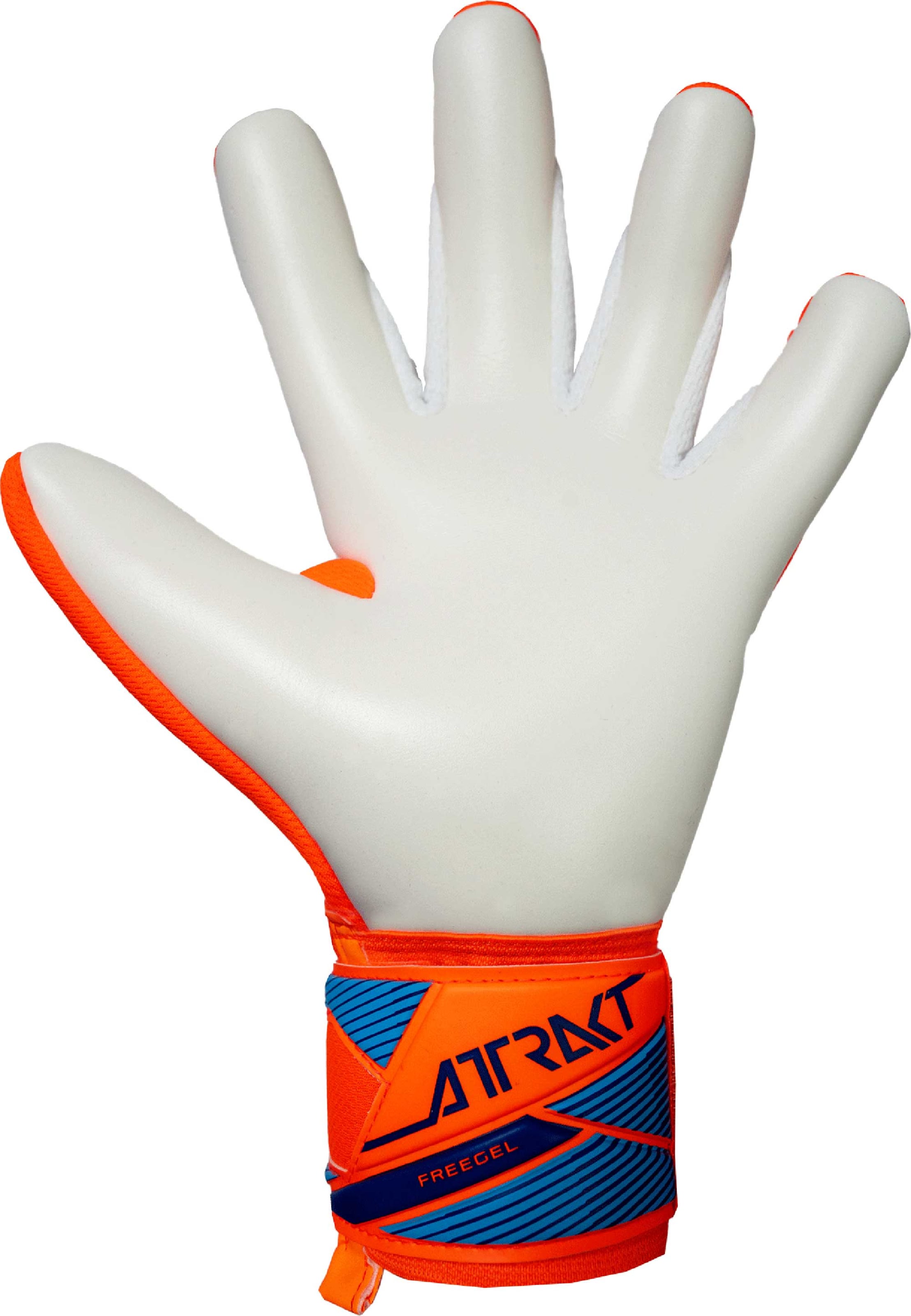REUSCH Sports gloves 'Attrakt Freegel Advance' in Blue