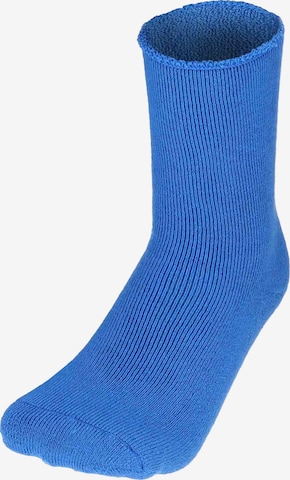 Calzino 'Homepads' di Hudson in blu: frontale