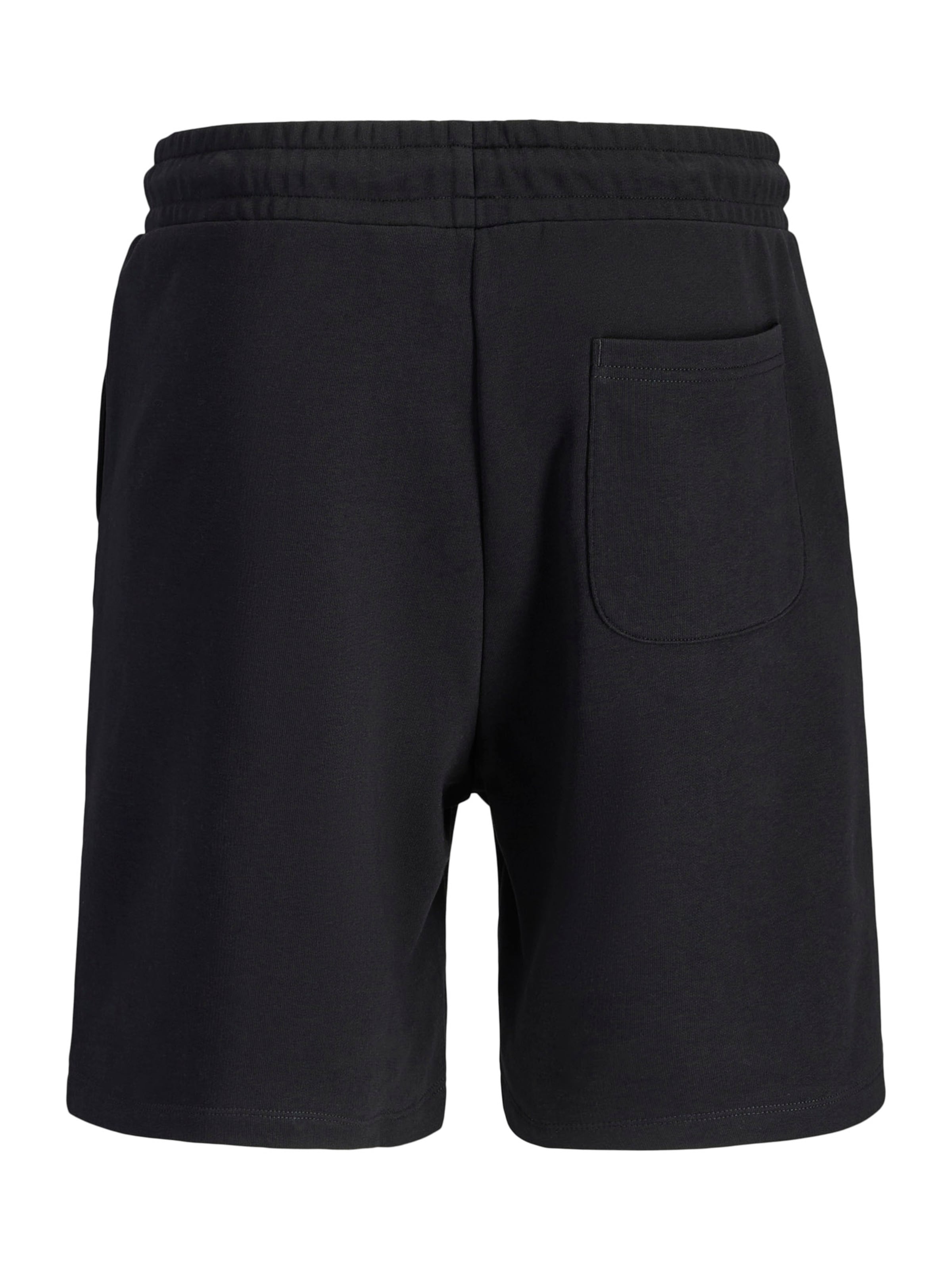 regular Pantaloni 'JPSTKANE' di JACK & JONES in nero