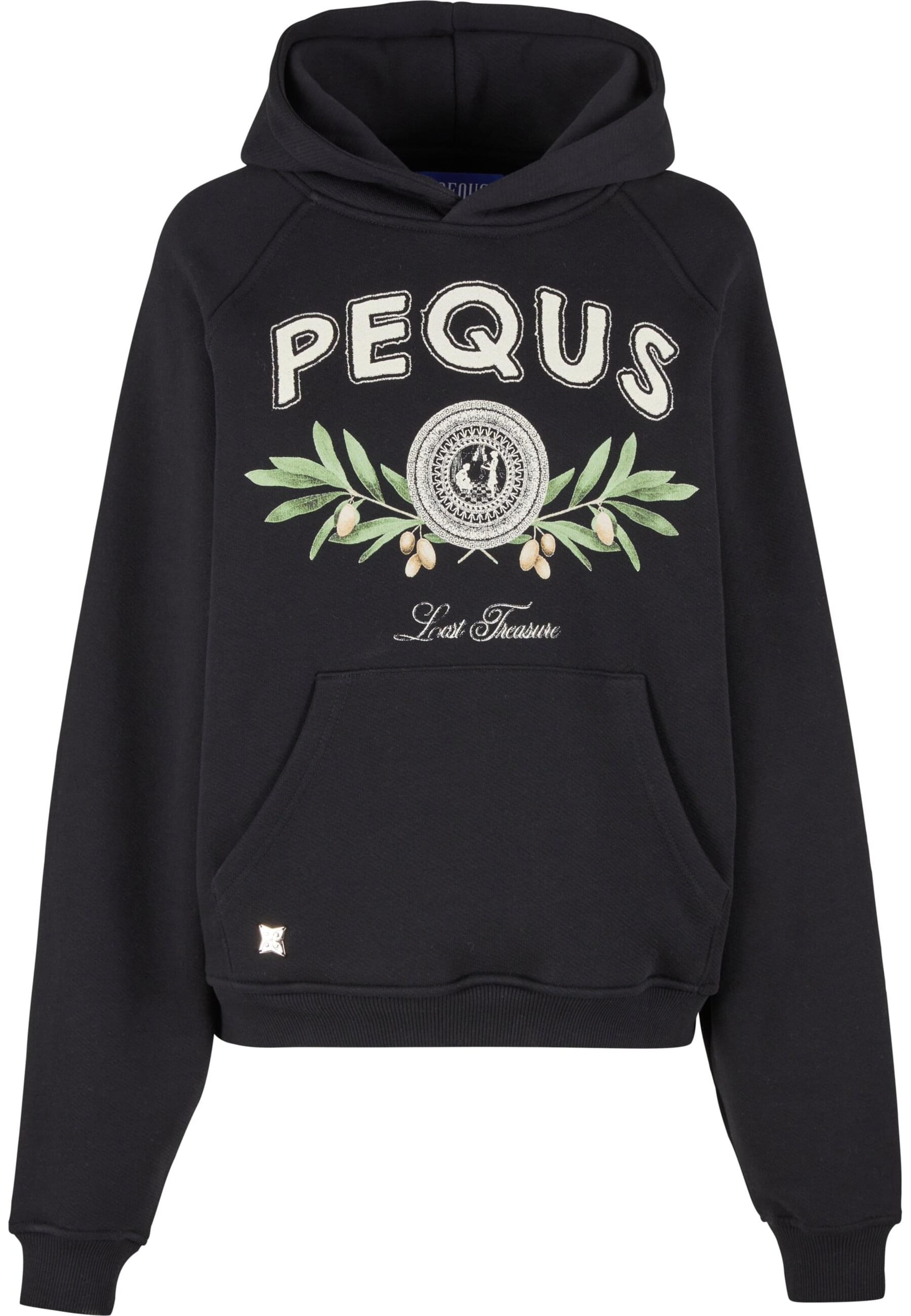 Pequs Sweatshirt 'Olive Coin Relic' in Zwart: voorkant