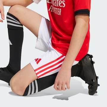 ADIDAS PERFORMANCE Regular Sports trousers 'Benfica Lissabon 25/26' in White