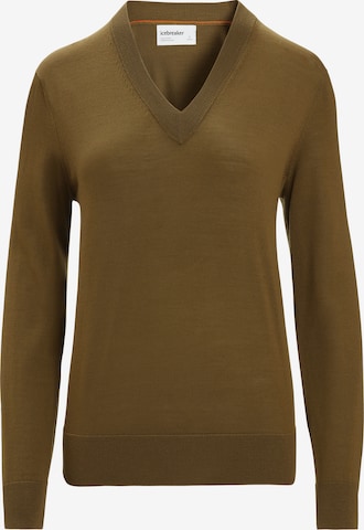 ICEBREAKER Athletic Sweater 'Wilcox' in Brown: front