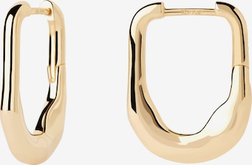 P D PAOLA Earrings in Gold: front