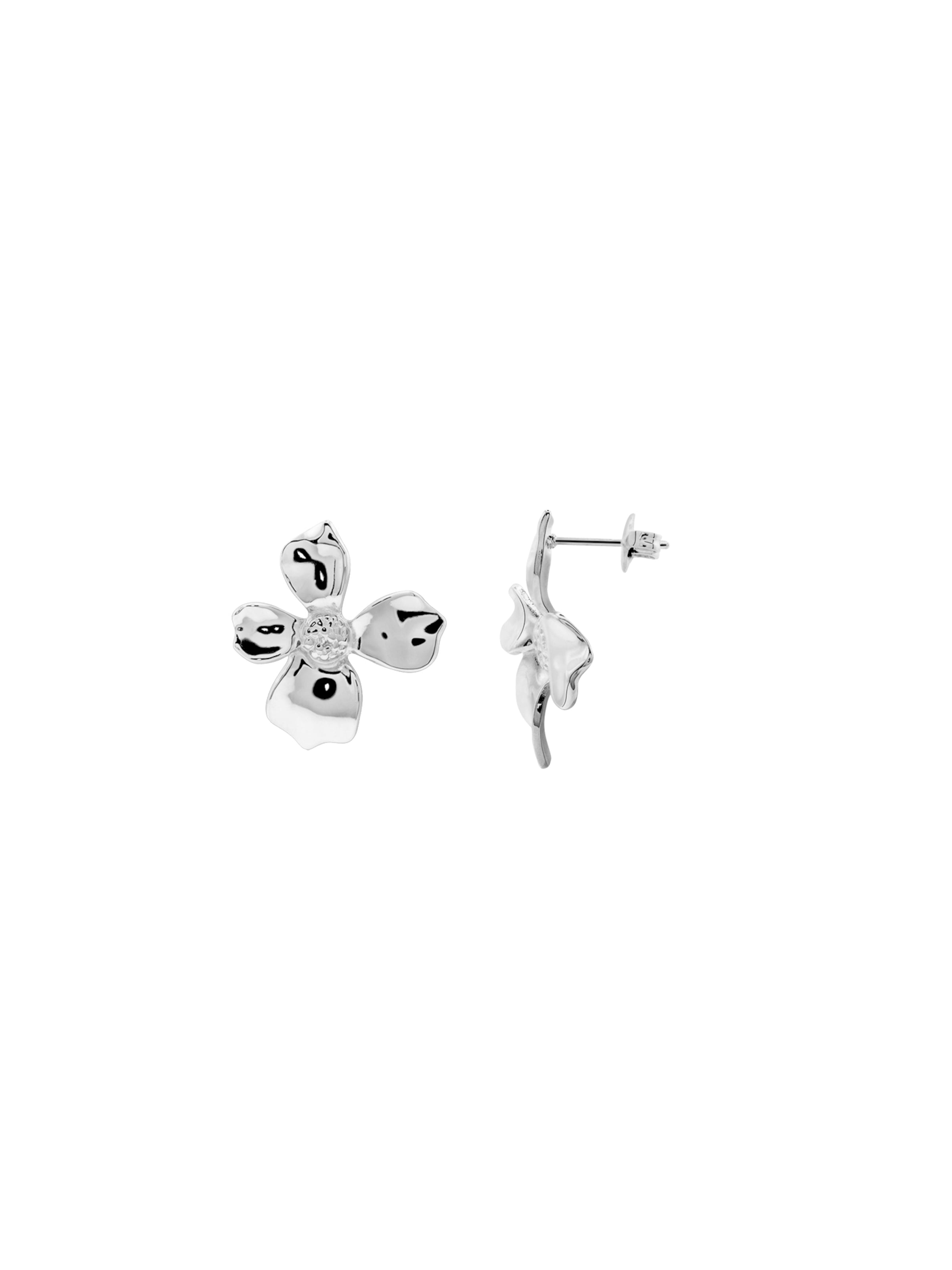 Heideman Earrings in Silver: front
