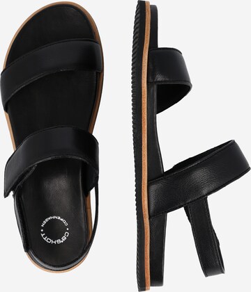 Ca'Shott Sandals in Black