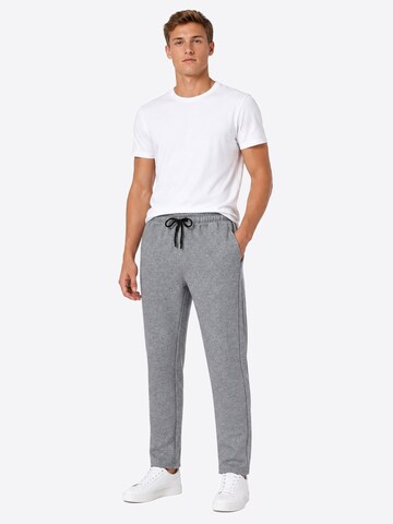 YAGESHARK Regular Workout Pants 'Jogginghose Herren' in Grey