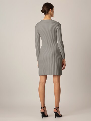 APART Knitted dress in Grey