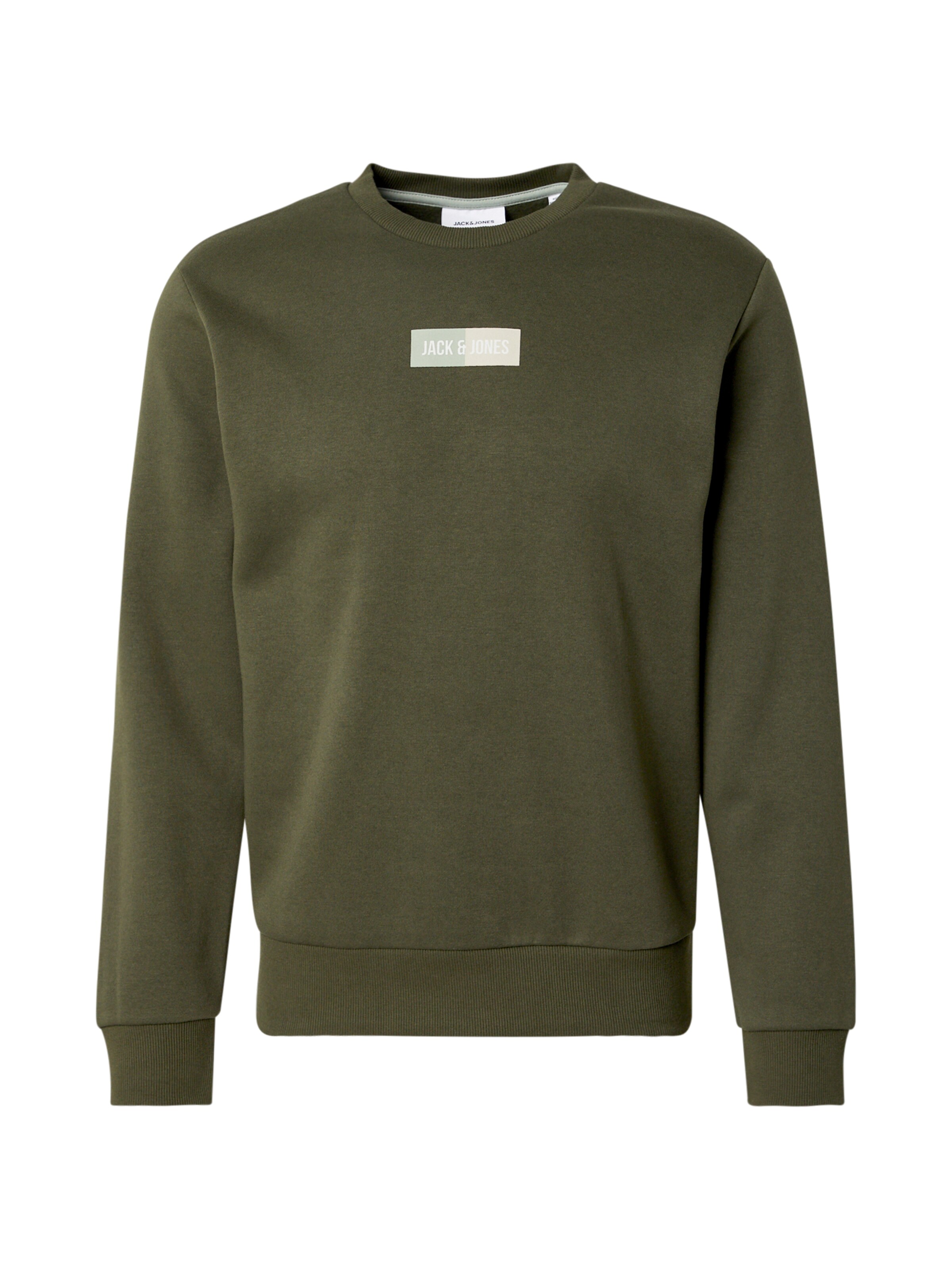 JACK & JONES Sweatshirt 'JJPAN' in Green: front