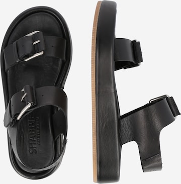 SHABBIES AMSTERDAM Sandals in Black