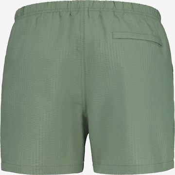 Shorts de bain Shiwi en vert