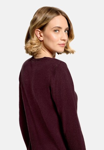 Cartoon Pullover in Braun