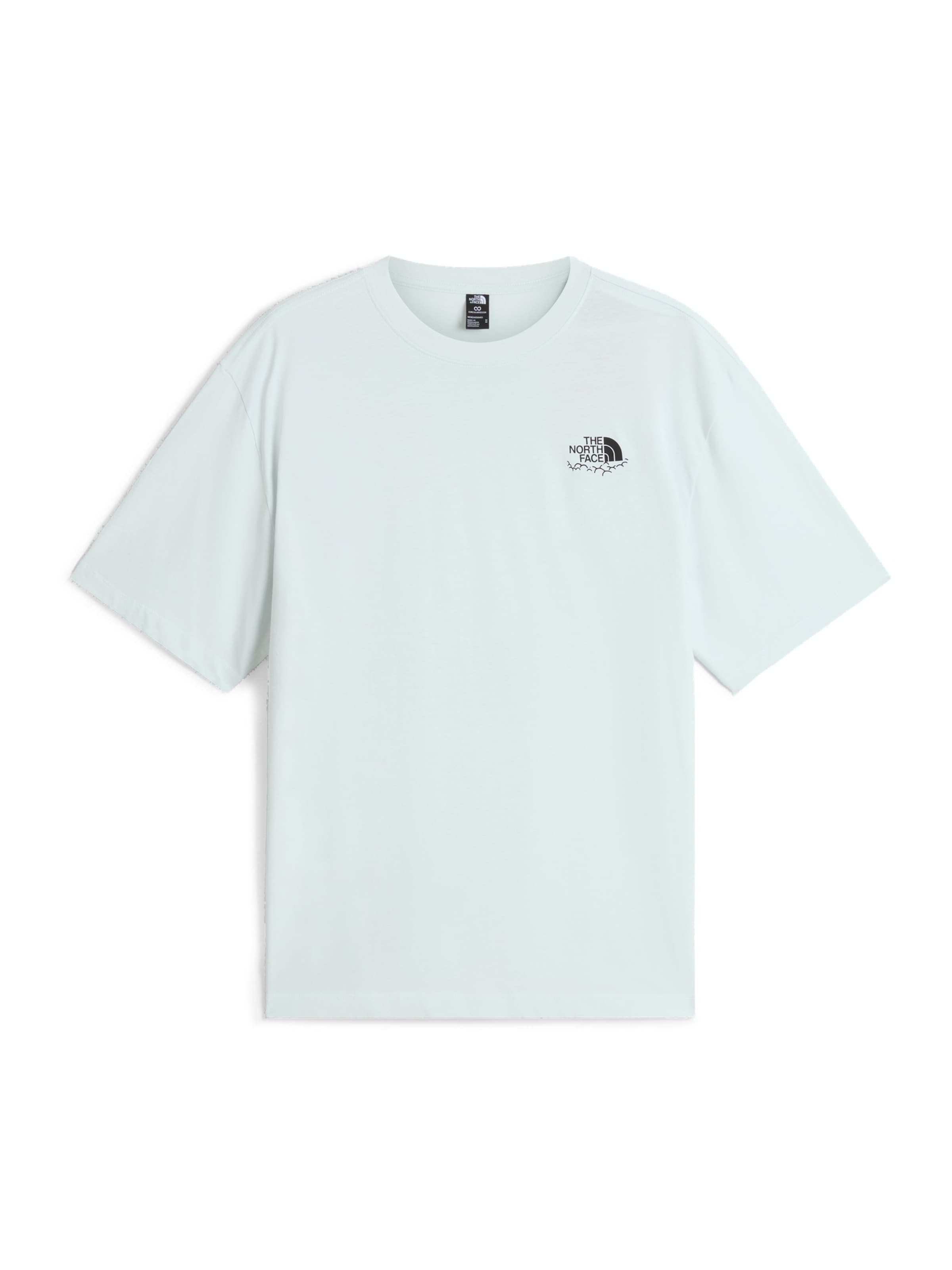 THE NORTH FACE Shirt 'Never Stop Carving' in Grijs: voorkant