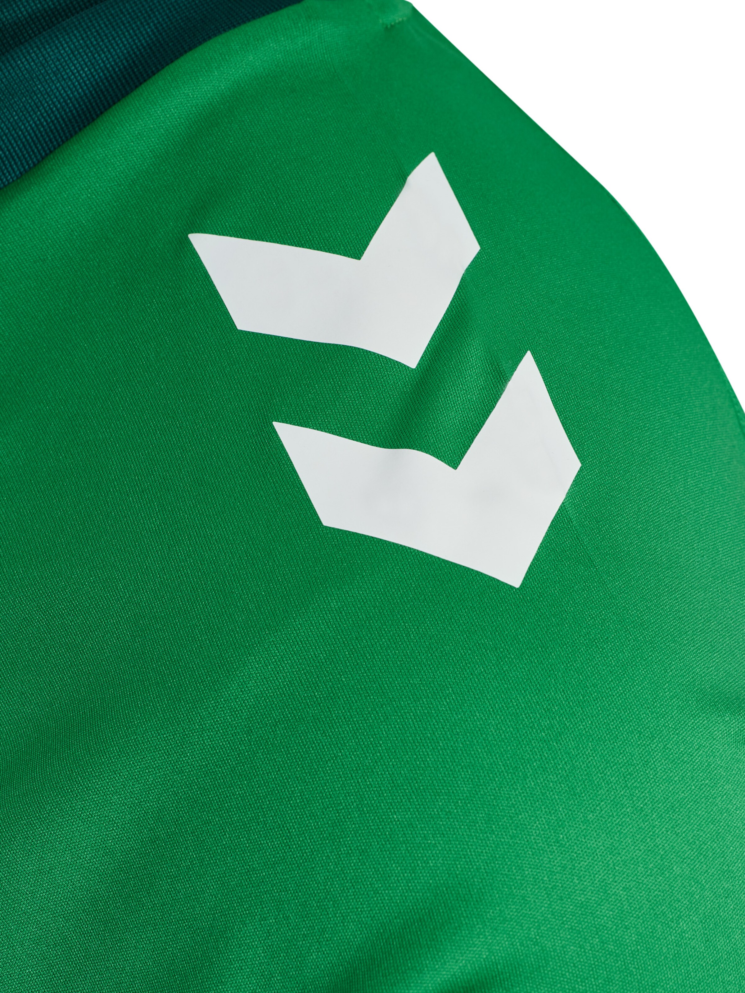 Hummel Functioneel shirt 'Match Triumph' in Groen