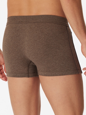 SCHIESSER Boxer shorts ' Comfort Fit ' in Brown