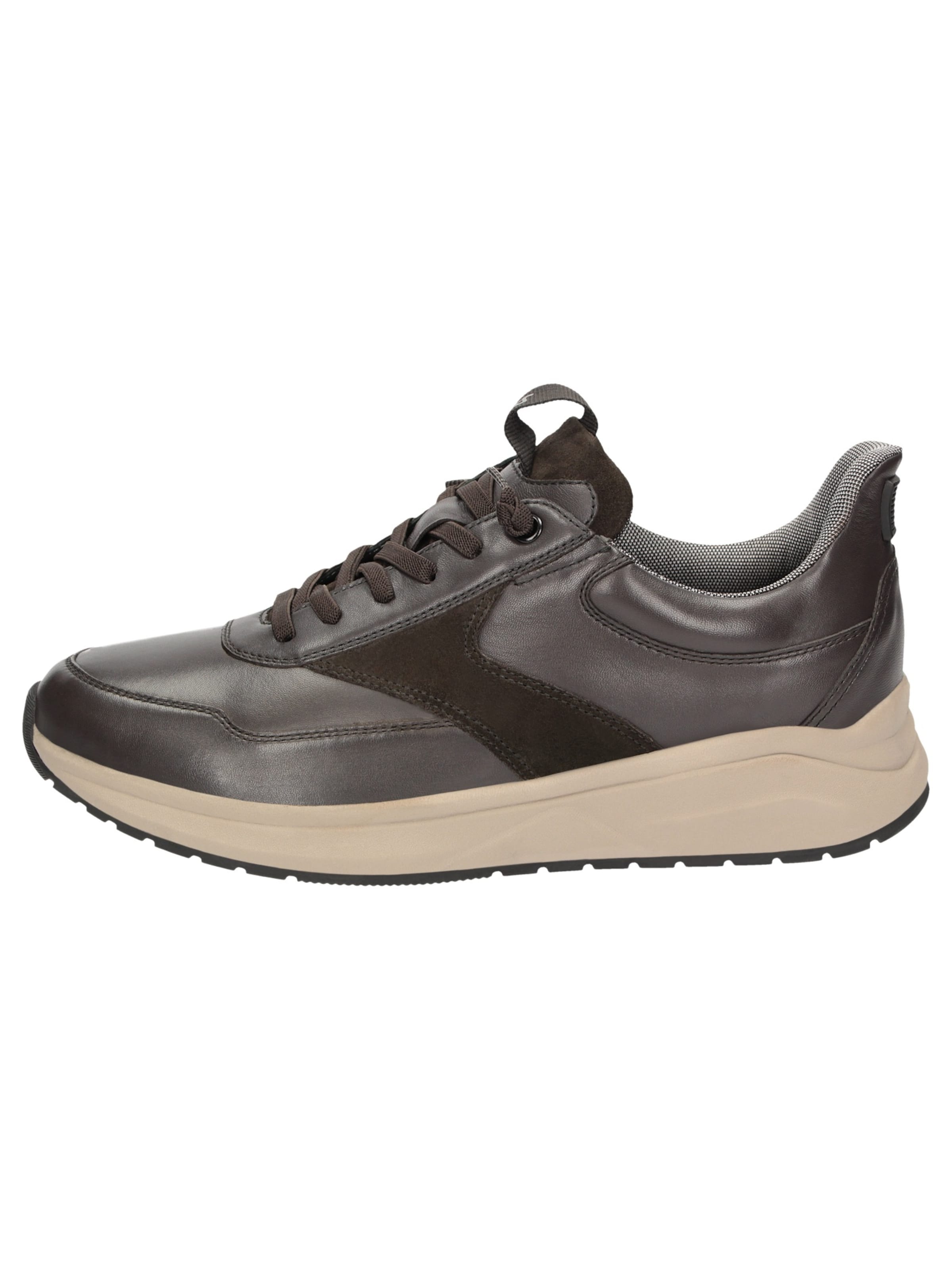 SIOUX Sneakers laag ' Tasulio-703-J ' in Bruin