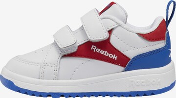 Reebok Classics Sneakers 'Weebok Clasp' in White: front