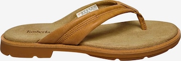 TIMBERLAND T-bar sandals in Beige: front