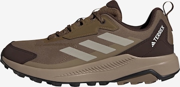 ADIDAS TERREX - Sapato baixo 'Anylander' em castanho: frente