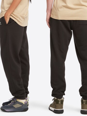 TIMBERLAND Regular Trousers in Brown