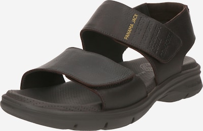 PANAMA JACK Sandale u tamno smeđa, Pregled proizvoda