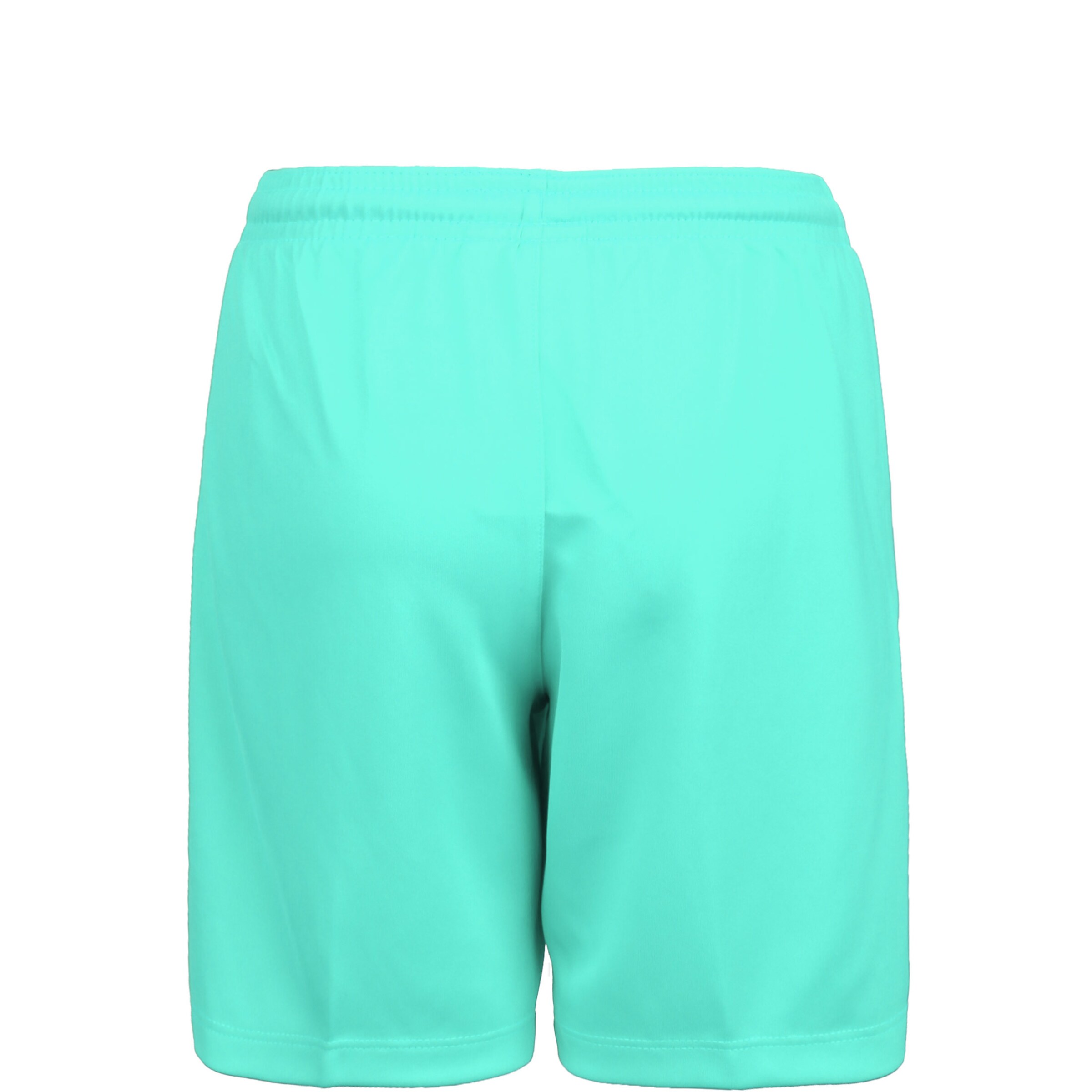 NIKE Regular Sportshorts 'Dry Park III' in Grün