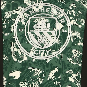 PUMA Athletic Jacket 'Man City' in Green