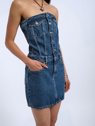 Dr. Denim Kleid 'Carlisle'‌‌‌‌‌‌‌‌ in Blau