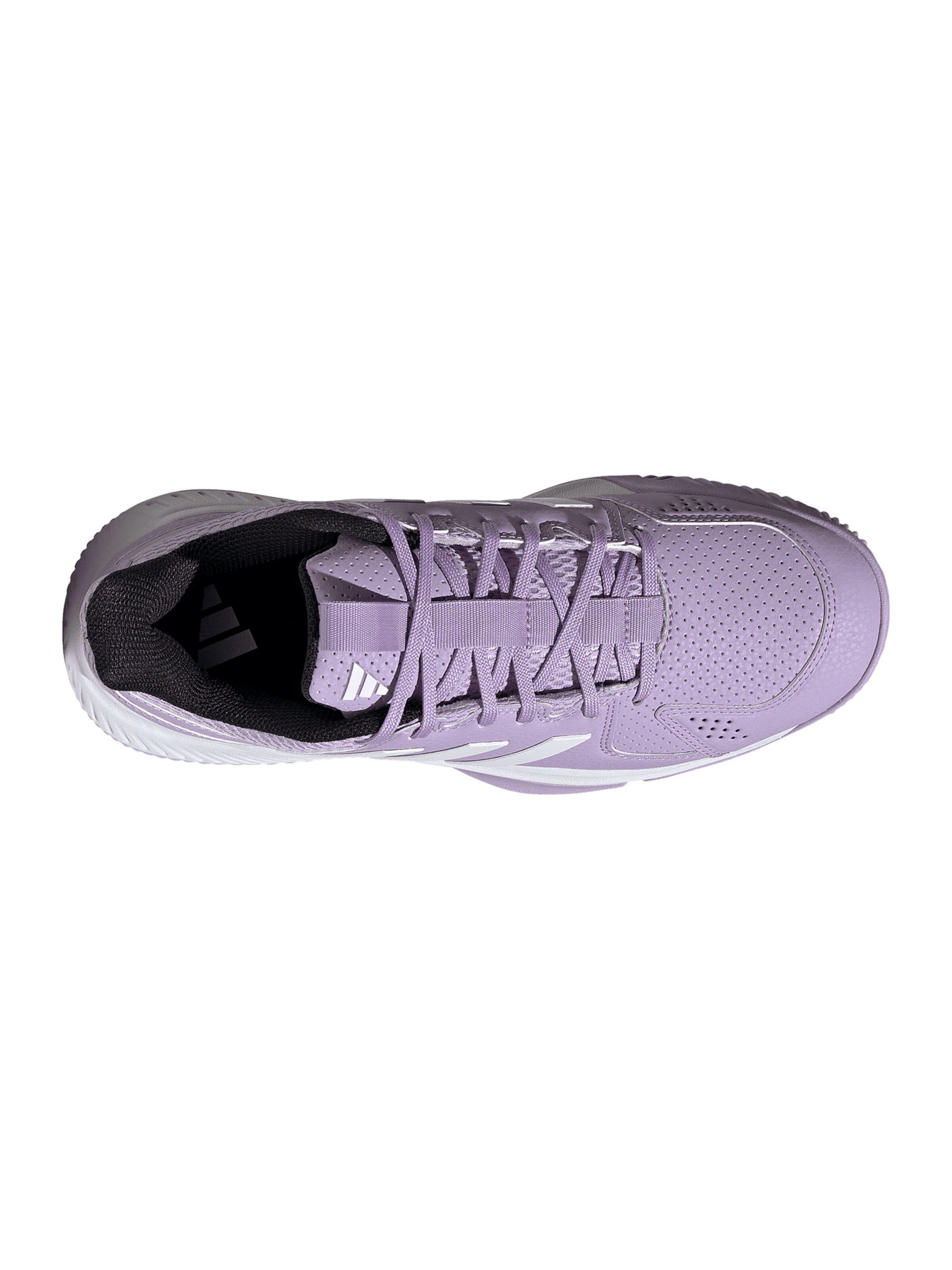 ADIDAS PERFORMANCE Sportschuh 'Court Flight' in Lila