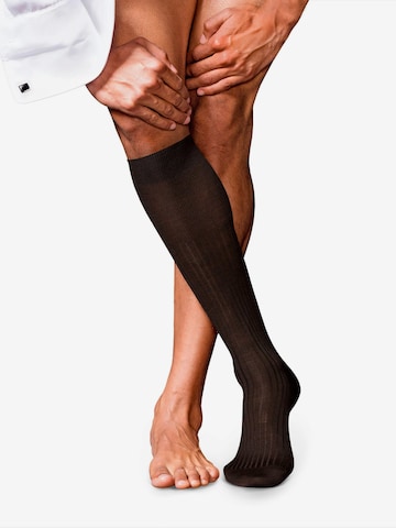 FALKE Knee High Socks 'No. 7 Finest Merino' in Brown