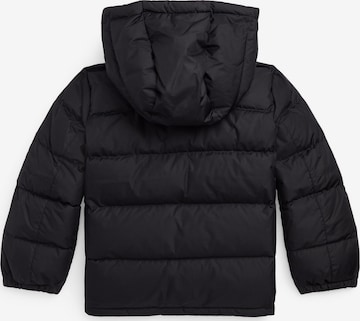 Polo Ralph Lauren Winter jacket in Black