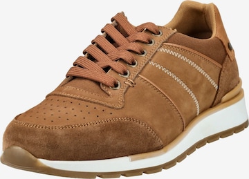 Sneaker bassa di BULLBOXER in marrone: frontale