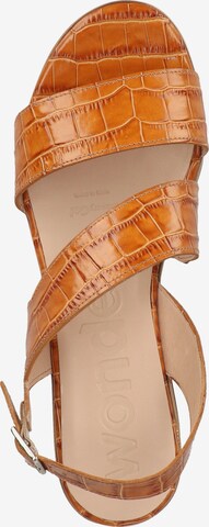 Wonders Strap Sandals in Brown