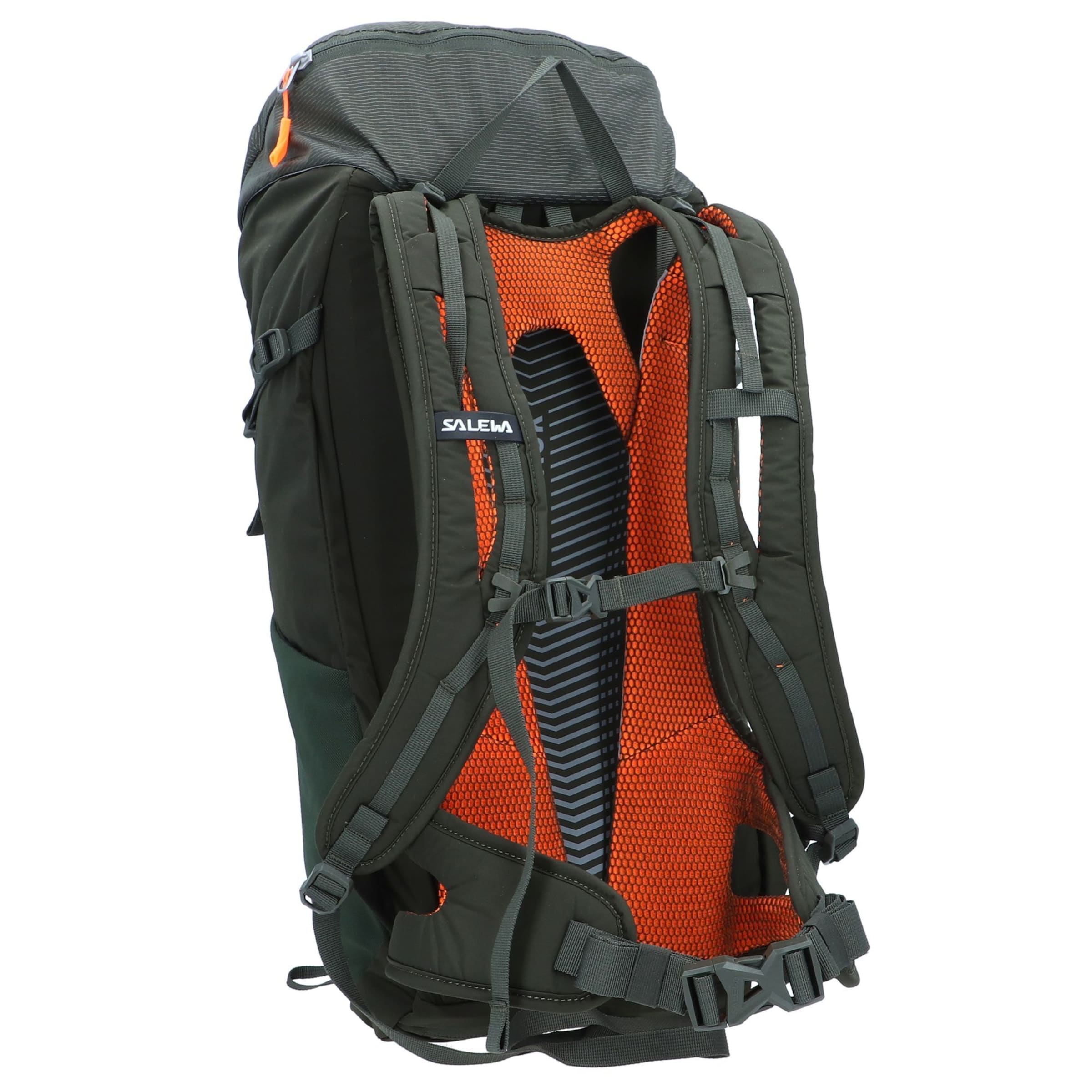 SALEWA Sports Backpack in Green
