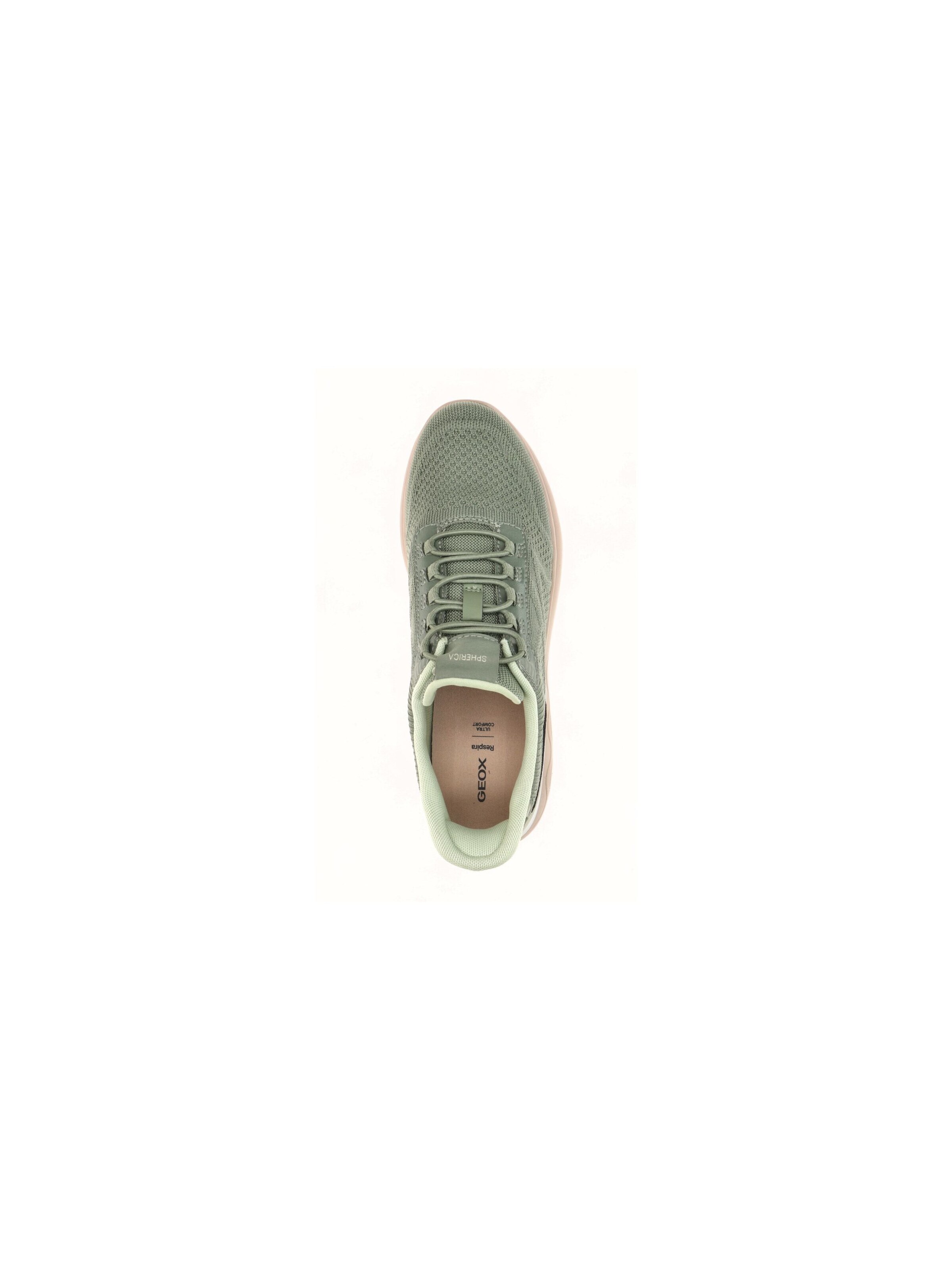 GEOX Slippers in Green