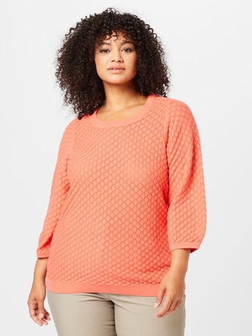 Zizzi Sweater 'MELSA' in Red: front