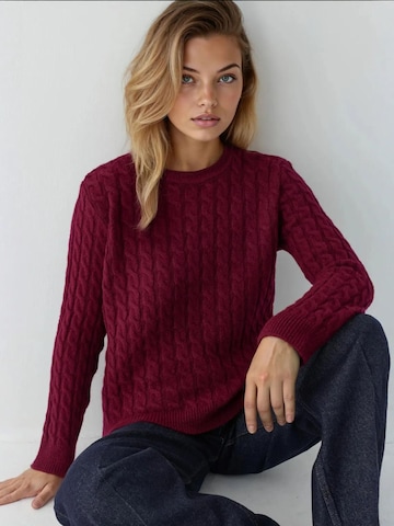 Pull-over Hiccup en rouge : devant