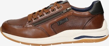 SIOUX Sneakers laag ' Turibio-710-J ' in Bruin