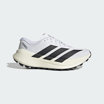 Chaussure basse 'Agravic SL' ADIDAS TERREX en blanc