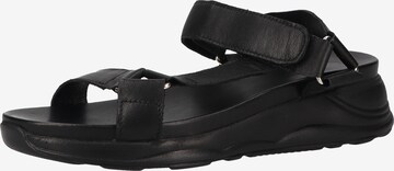 ILC Strap Sandals in Black: front