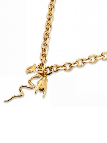 Arkai Ketting 'Mediterranean' in Goud