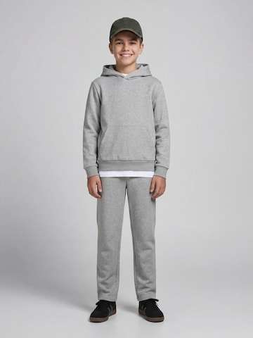 regular Pantaloni 'JREBCREST' di JJ Rebel in grigio