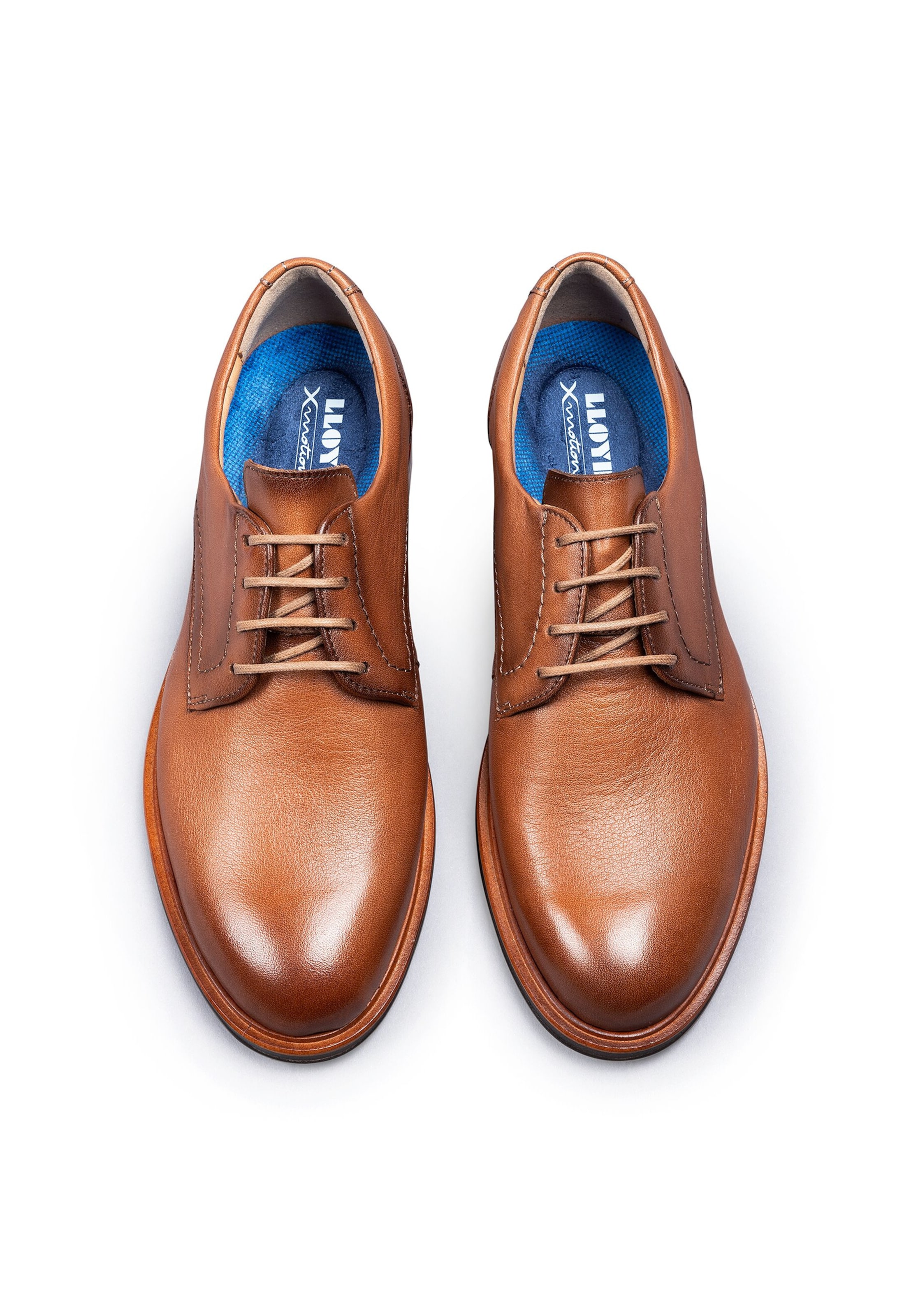 Chaussure à lacets LLOYD en marron