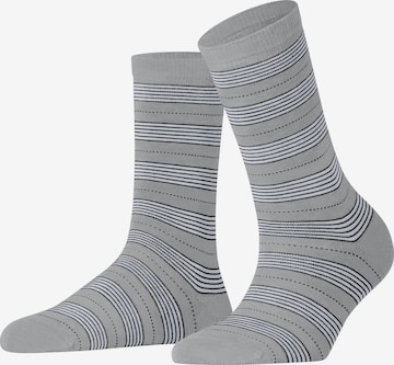 FALKE Socken 'Stripe Uniform' in Silber: Vorderseite