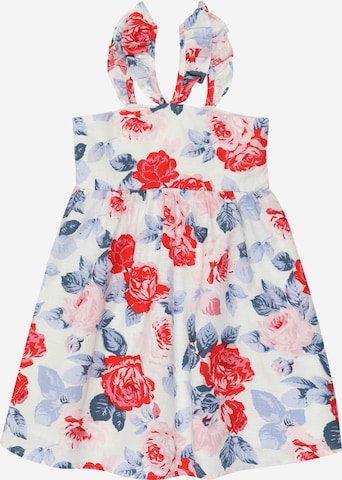 mėlyna GAP Suknelė: priekis