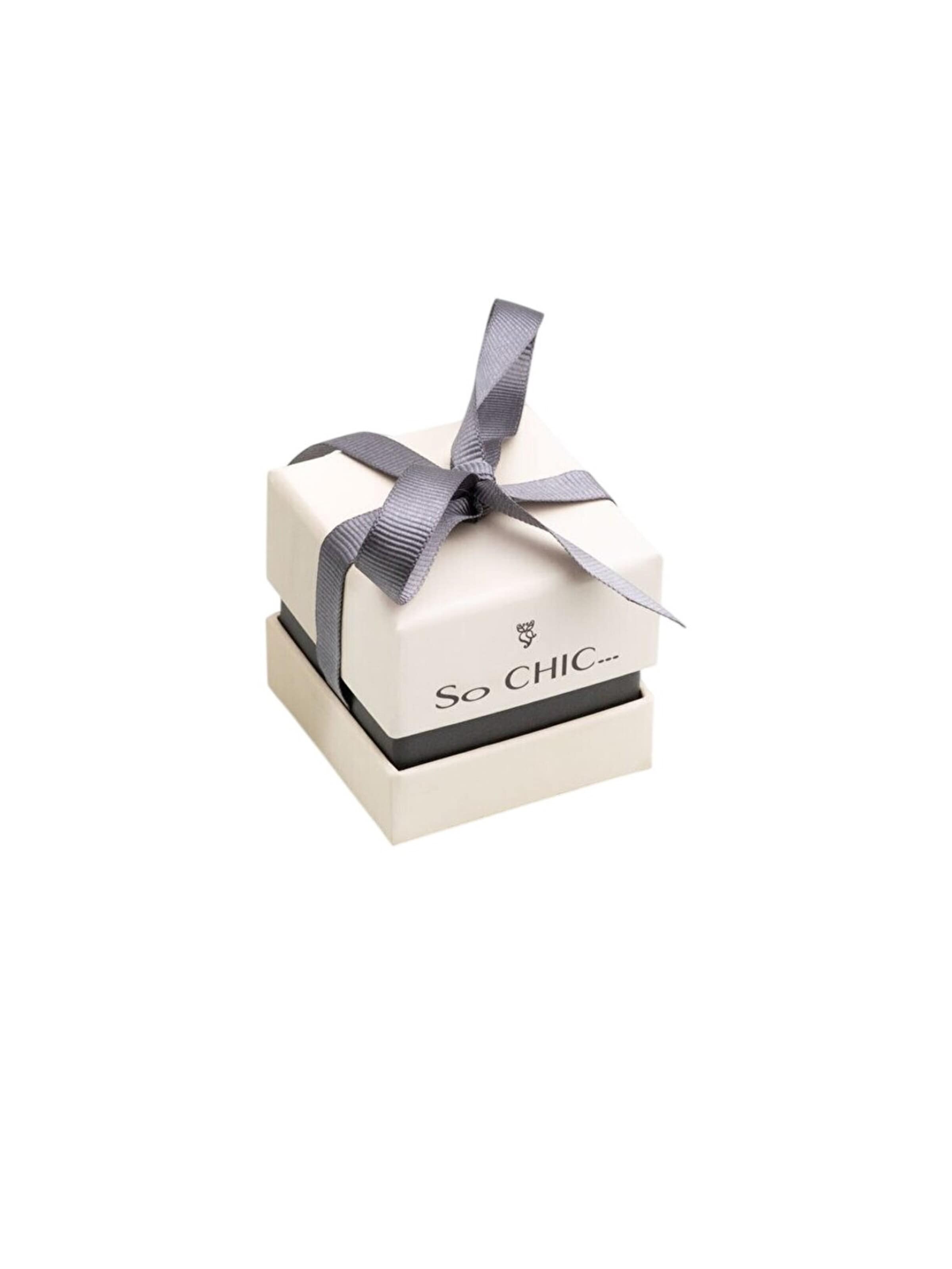 Boucles d'oreilles So Chic en argent