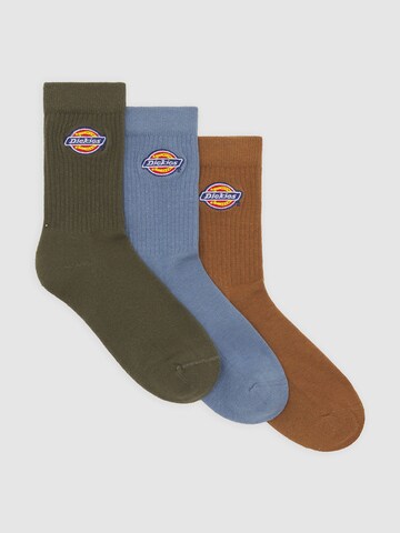 mėlyna DICKIES Kojinės 'Valley Grove': priekis