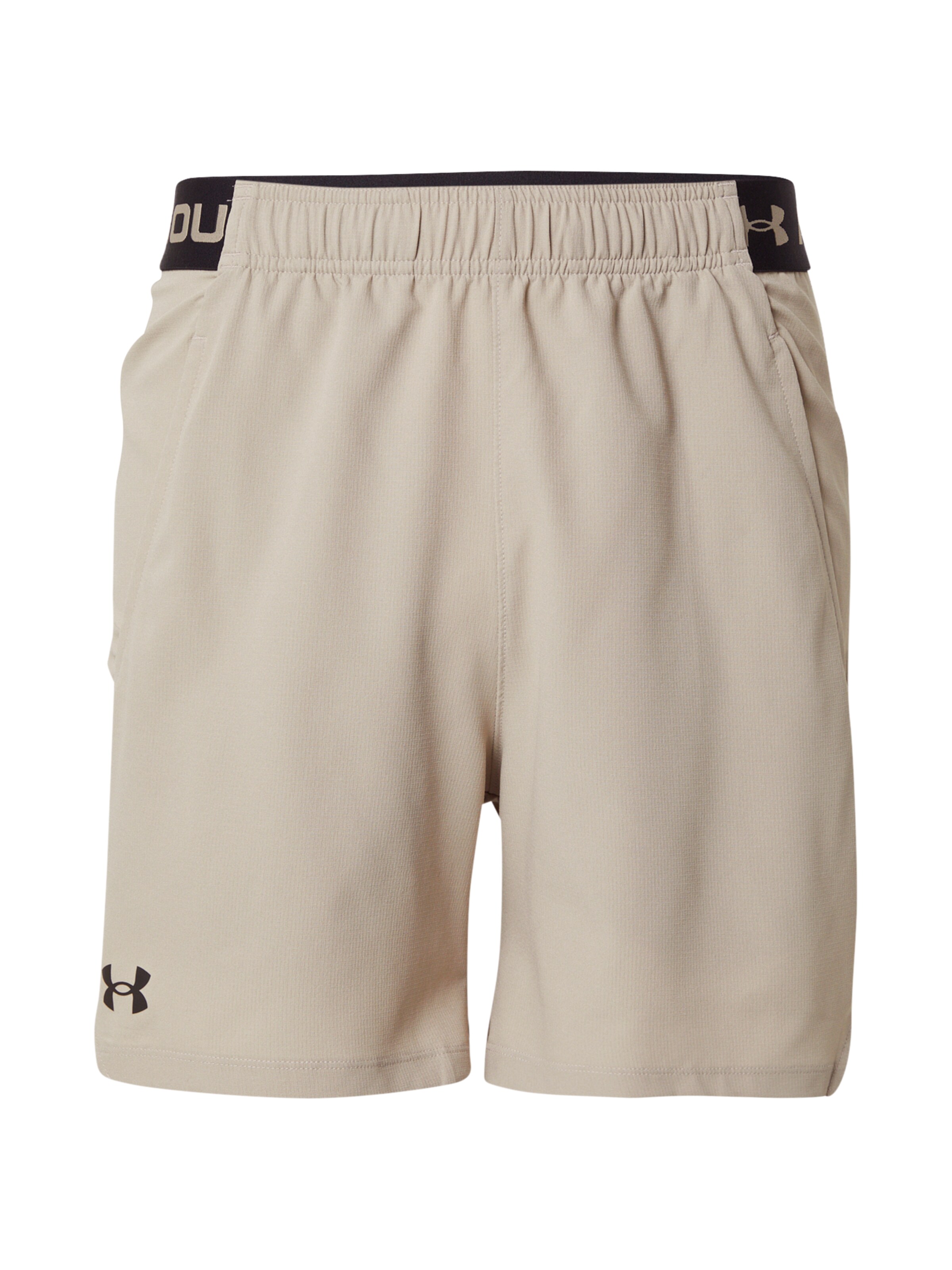 UNDER ARMOUR Спортивные штаны 'Vanish' в Серый: спереди