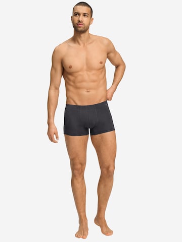 Hanro Retro Pants ' Cotton Essentials ' in Grau
