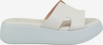 Desa Mules in Green: front