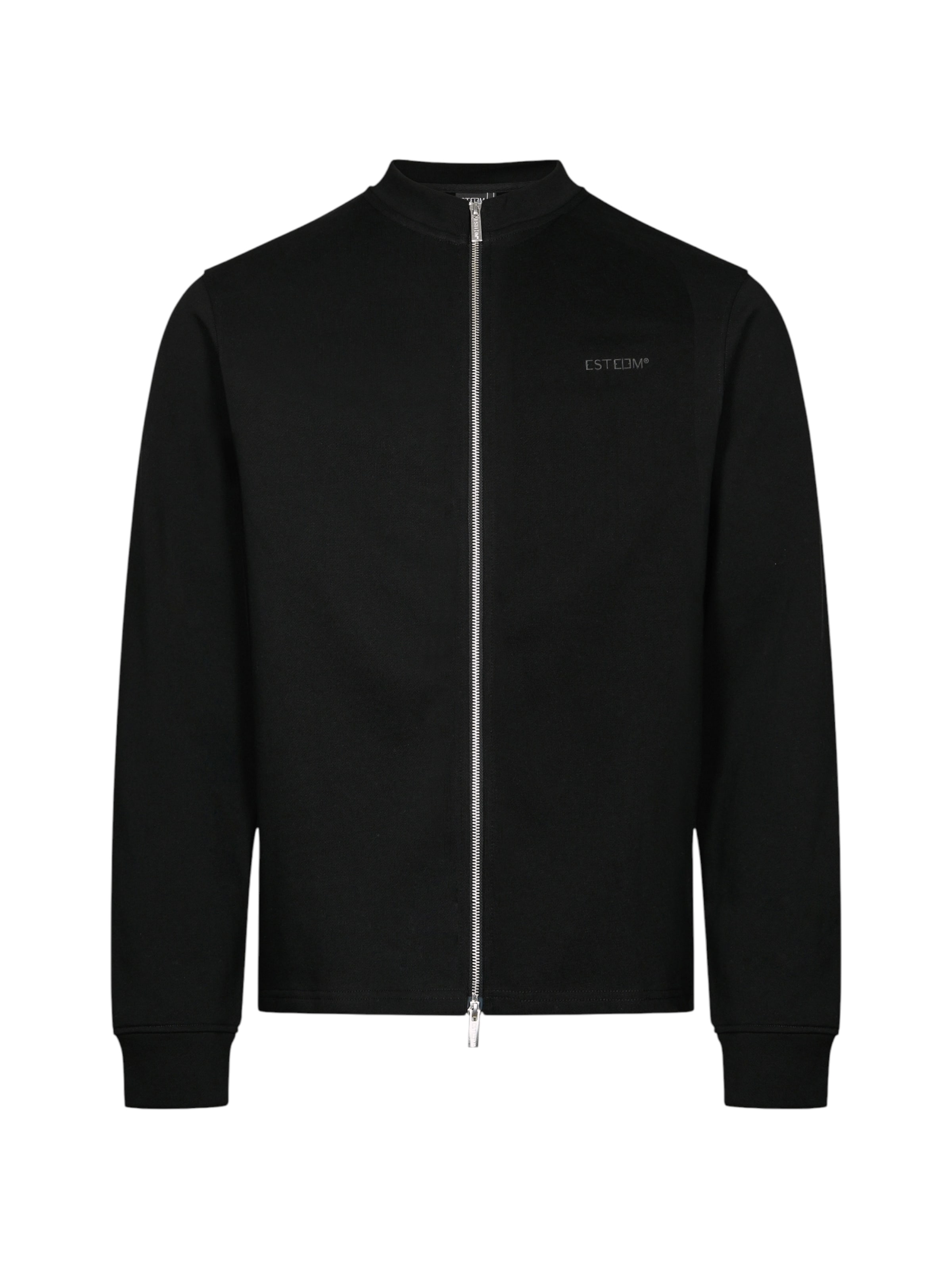 ESTEEM Zip-Up Hoodie 'Essential' in Black: front